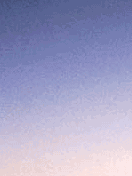 Plane1.gif