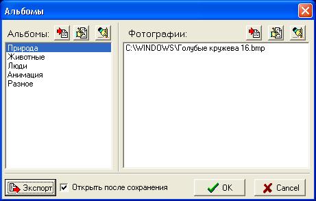 Окно Альбомы