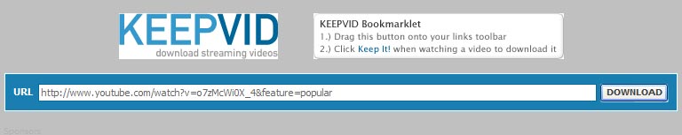 Keepvid - шаг 1